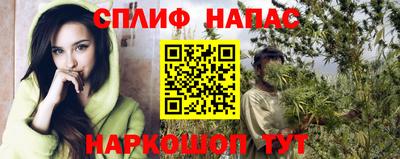шишки Краснознаменск