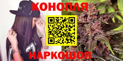 шишки Краснознаменск