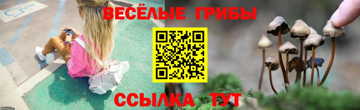Тара  Галлюциногенные грибы Magic Shrooms  Вход с VPN 